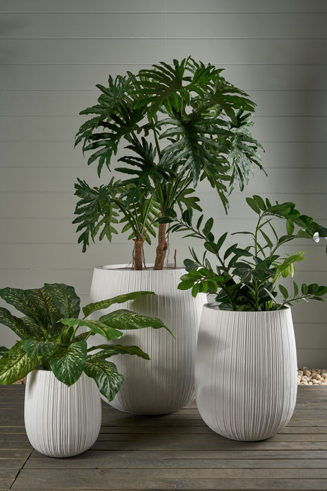 Elevate your indoor plants with the Baxter Planter Set in White from Florabelle. These sleek and contemporary planters add a touch of elegance and modernity to any space. 🌿✨ #HomeDecor #PlantLovers #ModernLiving In House Plants Decor, Planters Ideas Indoor, Plant Stand Decor, Front Door Plants, White Flower Pot, Greenery Design, Contemporary Planters, Indoor Flower Pots, Flower Pot Design