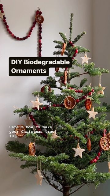 Christmas Eco Friendly Decorations, Eco Friendly Christmas Tree Decoration, Christmas Tree Sustainable, Sustainable Christmas Ornaments, Biodegradable Christmas Decorations, Sustainable Christmas Decor, Eco Friendly Christmas Tree, Homemade Natural Christmas Decorations, Simple Christmas Crafts For Adults