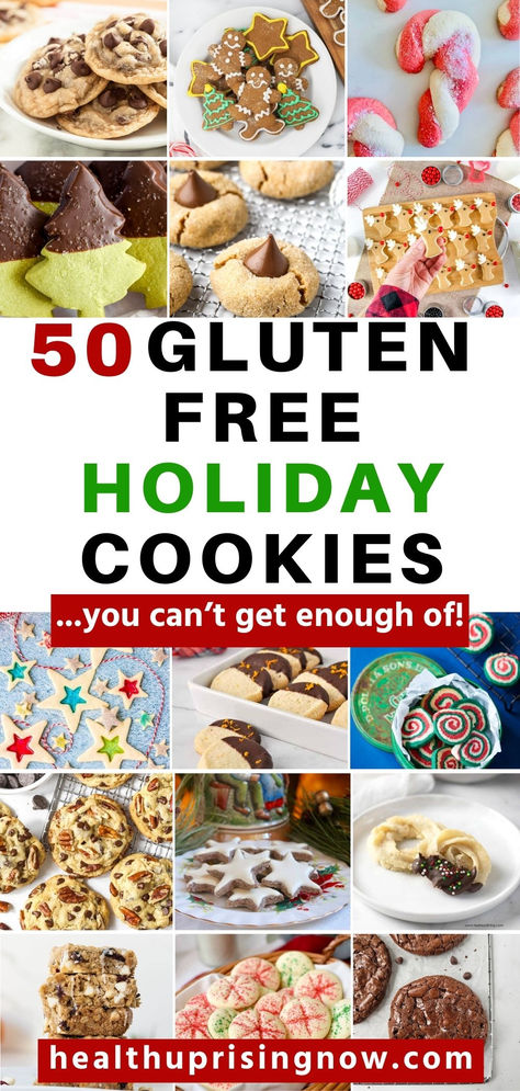 A collection of holiday cookies like the ones you'll find in this post that showcases 50 Christmas cookie recipes Gluten Cookie Recipes, Gluten Free Chocolate Cookies Easy, Gluten Dairy Free Holiday Recipes, Gluten Free No Bake Christmas Treats, Gluten Free Christmas Baking Glutenfree, Easy Gluten Free Gingerbread Cookies, Gluten Free Linzer Cookies Recipe, Gluten Free Nut Free Cookies, Naturally Gluten Free Cookies