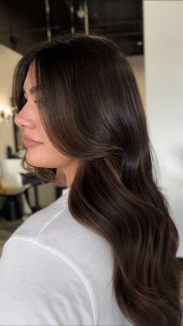 Abigail Lacey on Instagram: "Teddy Bear Brunette 🐻 There’s nothing more satisfying than fresh, glossy color this time of year. Many brunettes feel like they can’t achieve dimension without having to get a heavy highlight or add tons of “blonde” to their hair, but this simply isn’t true! You have options that still allow you to switch it up-without being too high maintenance. Even with your hair extensions! You can also achieve that same natural looking dimension within your hair extensions at Elle Society due to our signature customization process. Learn more and get the look via link in bio! . . . #troutdalehairsalon #portland #troutdaleoregon #portlandhairstlylist #portlandhairsalon #portlandstylist #happyvalley #happyvalleyoregon #happyvalleyhairstylist #happyvalleyhair #happ Glossy Dark Brown Hair Subtle Highlights, Brunette Hair With A Few Highlights, Brunette With Slight Dimension, Barely There Highlights Dark Hair, Dimension In Dark Hair, Neutral Dimensional Brunette, Cool Toned Lived In Brunette, Level 5 Neutral Brown Hair, Brown Hair Colors Without Highlights