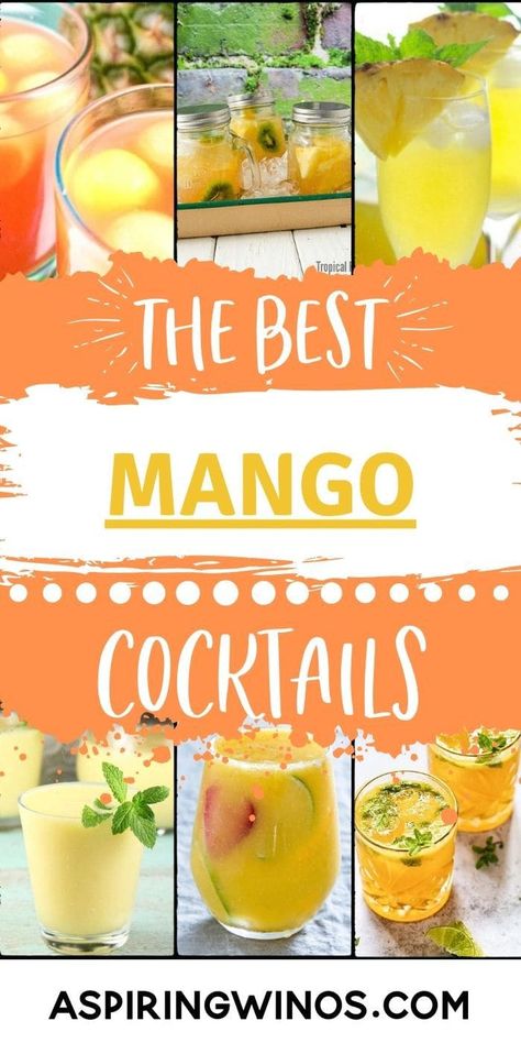 Mango Drink Recipes Alcohol, Cocktails With Mango Juice, Mango Liquor Drinks, Mango Punch Recipes, Mango Meltdown Drink Recipe, Mango Puree Recipe For Drinks, Mango Summer Drinks, Mango Juice Cocktail Recipes, Mango Nectar Drinks