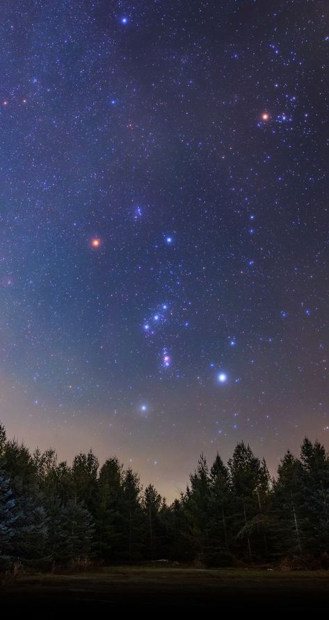 Constellation Orion, Orion's Belt, Orion Constellation, Wallpaper Sky, Orion Nebula, Winter Sky, Look At The Sky, Look At The Stars, Stars At Night