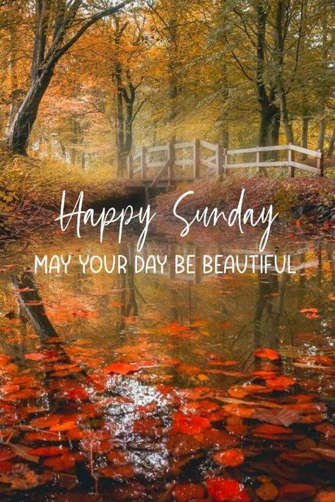 Sunday Sunday Morning Images, Sunday Morning Wishes, Blessed Sunday Morning, Happy Sunday Images, Good Morning Sunday, Good Morning Sunday Images, Happy Sunday Morning, Sunday Morning Quotes, Good Sunday Morning