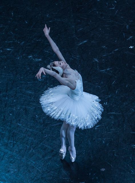 Ballet Wallpaper, Swan Lake Ballet, Raindrops And Roses, Ballet Pictures, Paris Opera Ballet, Ballet Beauty, Ballet Inspiration, Lake Photos, Dancing Aesthetic