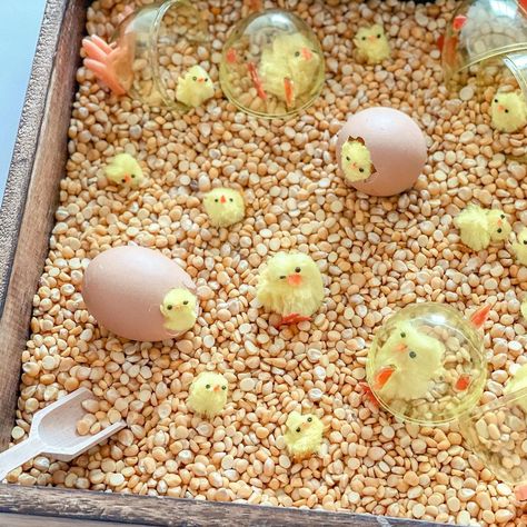 Baby Easter Sensory Play, Sensory Play Kindergarten, Easter Sensory Play, Easter Toddler Activities, Easter Sensory Bin Ideas, March Sensory Bin, Egg Sensory Bin, Spring Sensory Activities, Toddler Easter Party