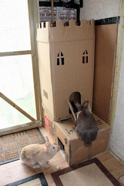 Cardboard Castle Bunny Castle, Diy Bunny Toys, Pet Rabbits, Cardboard Cat House, Cardboard Castle, Bunny Stuff, Indoor Rabbit, Rabbit Run, Rabbit Cages