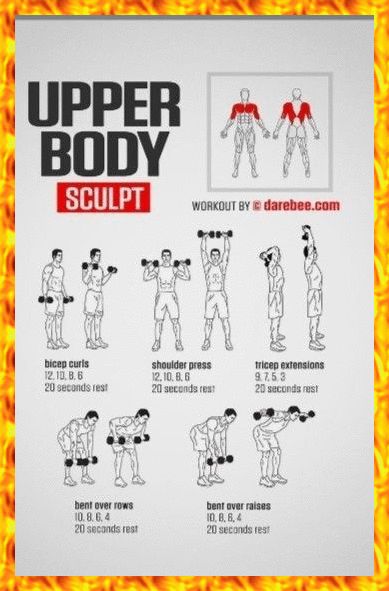 Body For Life Workout Sheets, Tricep Workout Dumbell, Shoulder Press Dumbell, Upper Body Workout For Men, Workout For Men Gym, Upper Body Dumbbell Workout, Workout Sheets, Shred Workout, Workout Gym Routine