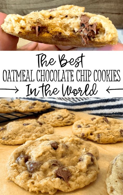 Seriously the best oatmeal chocolate chip cookies with the perfect oatmeal cookie base and your favorite kind of chocolate chips... Soft and gooey in the middle, but still hold their shape! Chocolate Oatmeal Chip Cookies, Chocolate Chip Granola Cookies, Oatmeal Peanut Butter Chip Cookies, Large Oatmeal Chocolate Chip Cookies, Quick Oatmeal Chocolate Chip Cookies, Oatmeal Cookies White Chocolate Chip, The Best Chocolate Chip Oatmeal Cookies, Best Oatmeal Chocolate Chip Cookies Ever, Iced Oatmeal Cookies Soft