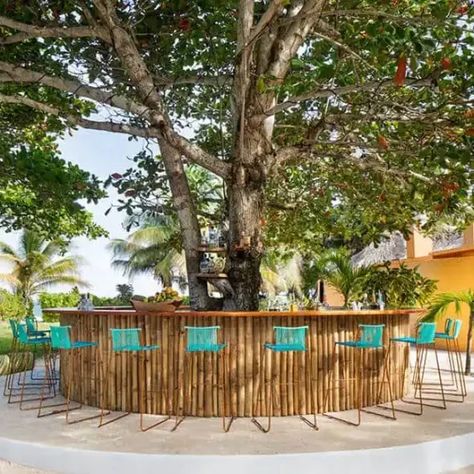 Tree Bar, Deck Bar, Outdoor Restaurant Design, Resort Architecture, Tent Design, Garden Villa, House Deck, Garden Cafe, Beach Getaway