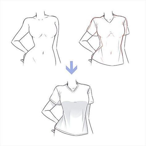 Shirt Drawing, Entertaining Kitchen, Drawing Faces, Digital Painting Tutorials, Poses References, Figure Drawing Reference, Guided Drawing, Body Drawing, Anime Drawings Tutorials