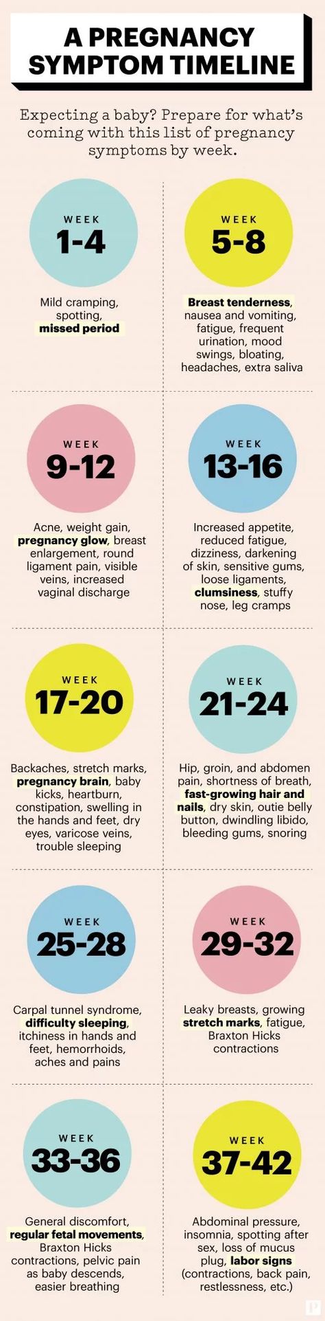 200228-pregnancy-timeline-infographic Pregnancy Symptoms By Week, Pregnancy Timeline, Pregnancy Calendar, Pregnancy Info, Pregnancy Guide, Pregnancy Advice, Baby Life Hacks, Baby Facts, Baby Planning