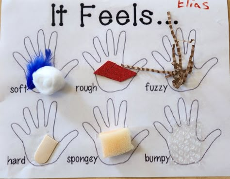 Sense Touch Activities, 5 Sense Arts And Crafts, Sense Of Touch Sensory Bin, Touch Sense Activities Preschool, Sense Of Touch Crafts Preschool, Five Sense Arts And Crafts, Touch Senses Activities, My Body And Senses Preschool, The Five Senses Kindergarten