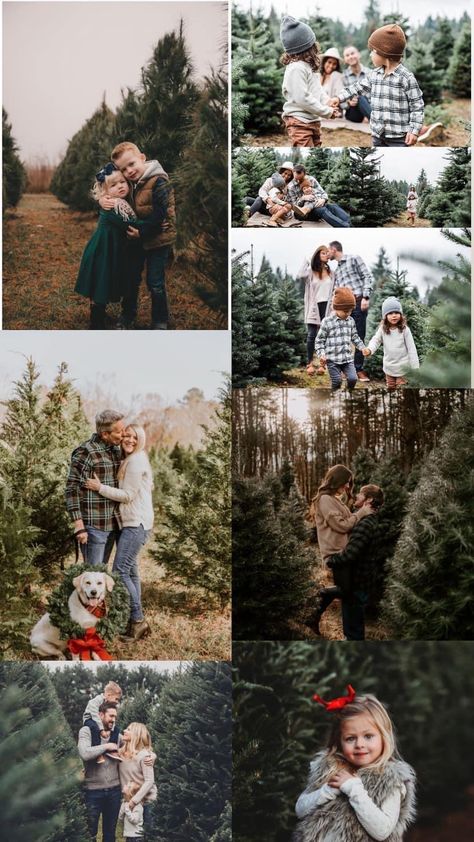 Rustic Family Christmas Pictures, Diy Christmas Photoshoot Outdoors, Outdoor Family Holiday Photos, Family Photo Inspo Winter, Outside Christmas Photoshoot Ideas, Xmas Tree Family Photo Ideas, Mini Session Ideas Christmas, Christmas Farm Pictures, Christmas Card Photo Ideas Outdoor