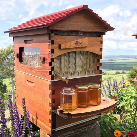 Flow Hive Classic Cedar 6 Frame – Character Grade Flow Hive, Bee Hive Plans, Backyard Bee, Bee Friendly Garden, Backyard Beekeeping, Honey Bee Hives, Bee Hives, Future Farms, Bee Farm