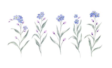 Forget Me Not Watercolor, Spring Flowers Illustration, Botany Illustration, Pink Drawing, Flowers Illustration, Watercolor Blue, Friend Tattoos, Flower Illustration, Finger Tattoos