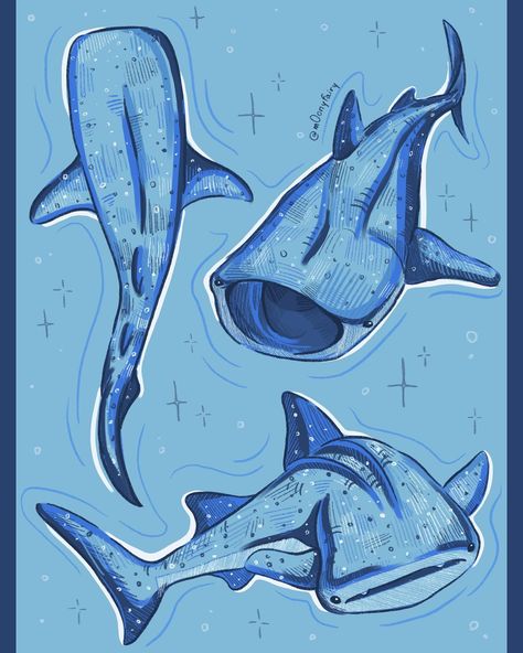 i’m currently obsessed with whale sharks so here are some sketches 🥹🩵 aren’t they so cute ???? ___ #art #artist #artistic #sketch #sketches #sketching #sketchdaily #sketchbook #sketchbooks #sketchbookart #whaleshark #whalesharks #whalesharkswimming #digitalart #digitalartist #digitalsketching #digitalsketchbook #procreate #shark #sharks #sharkdrawing Whale Shark Kawaii, Shark Reference Drawing, Thresher Shark Art, Wale Sharks Drawing, Whale Shark Art Cute, Shark Sketchbook Page, Whale Shark Drawing Cute, Shark Whale Drawing, Whale Shark Drawing Sketches