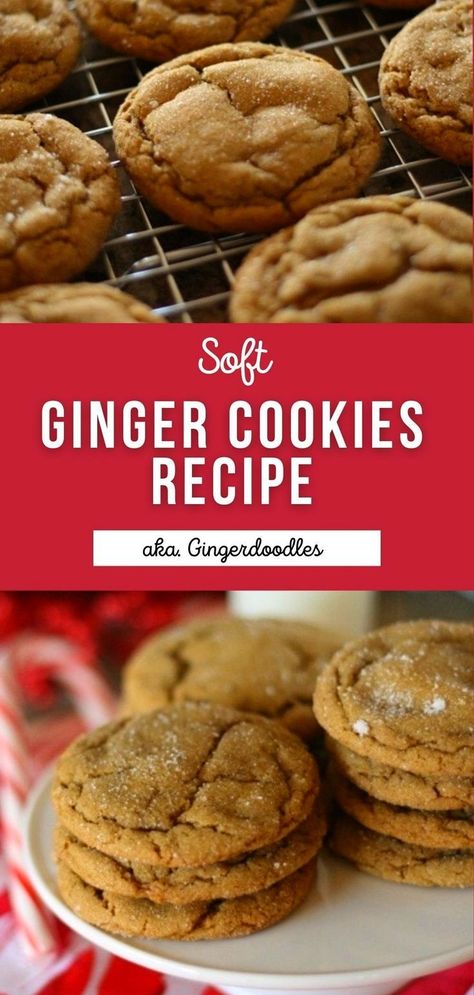 These soft-baked Ginger Cookies, or Gingerdoodles, are the quintessential Christmas cookie! Chewy, buttery, and full of warm spices that everyone will love. Gingerdoodle Cookies, Ginger Cookies Recipe, Ginger Spice Cookies, Spice Cookie Recipes, Soft Ginger Cookies, Chewy Ginger Cookies, Ginger Cookie Recipes, Best Christmas Desserts, Cookies Bars