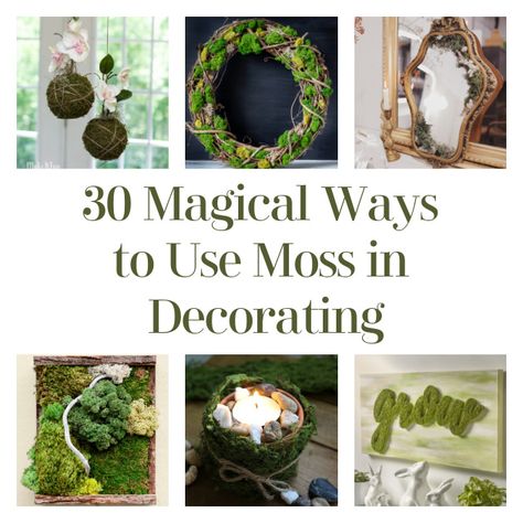 Dried Moss Decor, Moss Diy Projects, Using Nature To Decorate, Fake Moss Decor, Moss Art Diy, Boho Decor Diy Cheap, Diy Forest Decor, Live Moss Picture Frame, Small Moss Wall Art