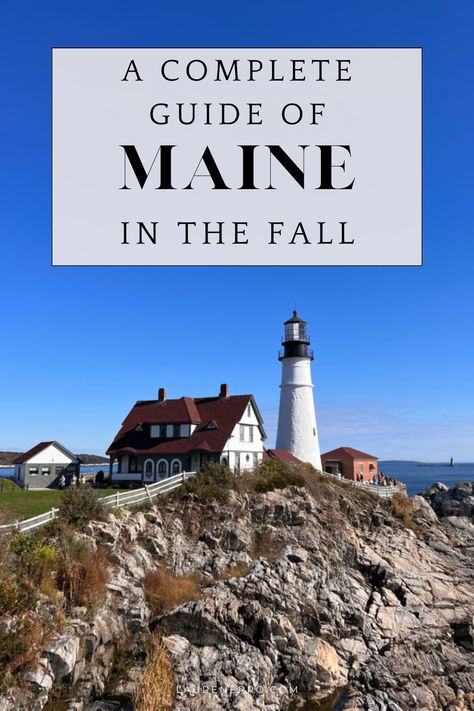 A First timers Guide of Maine In The Fall | Lauren Erro Maine In The Fall, Rockland Maine, Visit Maine, Boothbay Harbor, Maine Vacation, Fall Vacations, Maine Travel, Old Port, New England Style