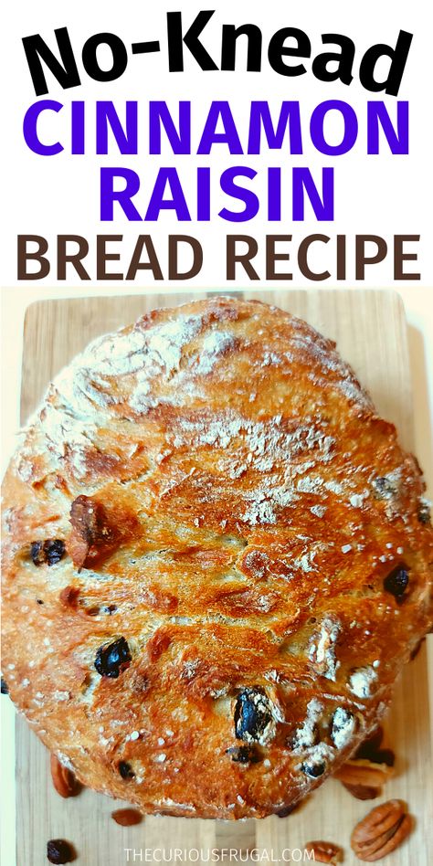 Raised Bread Recipe, Cinnamon Raisin Dutch Oven Bread, Cinnamon No Knead Bread, Dutch Oven Cinnamon Raisin Bread, Dutch Oven Bread Quick, Durch Oven Bread Recipes, Cinnamon Raisin Bread Dutch Oven, Dutch Oven Bread Recipes, No Knead Cinnamon Raisin Bread