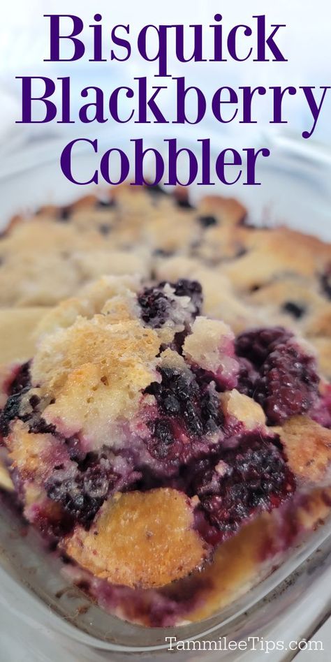 Bisquick Cobbler Recipes, Blackberry Recipes Easy, Breakfast Cobbler, Cobbler With Bisquick, Blackberry Dessert Recipes, Easy Blackberry Cobbler, Berry Cobbler Recipes, Blackberry Dessert, Blackberry Cobbler Recipe