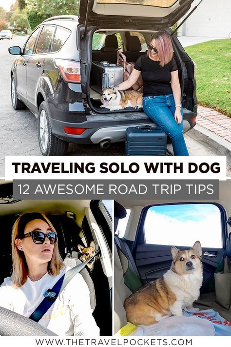 Traveling solo with your dog on the road Road Trip With Dog, Road Trip Kit, Solo Vacation, Colorful Hairstyles, Road Trip Camping, Traveling Alone, Cross Country Road Trip, American Road Trip, Travel Nursing