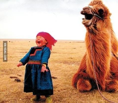 Mongolian girl having a laugh with her camel