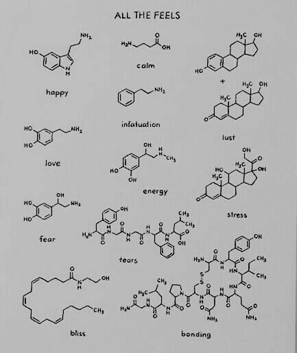 Intersecting Words Tattoo, Organic Molecule Tattoo, Small Chemistry Tattoos, Simple Science Tattoos, Dopamine Chemical Structure Tattoo, Tattoo Ideas Female Recovery, Ghost With Crown Tattoo, Fear Symbol Tattoo, Small Tricep Tattoo