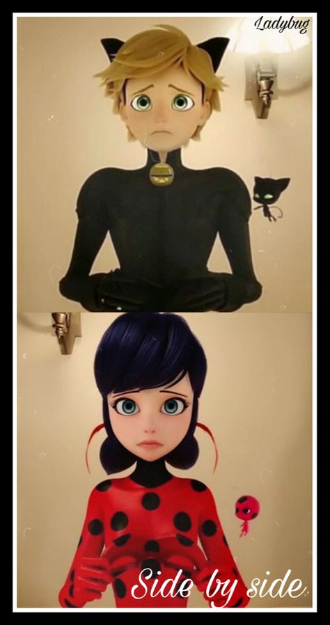 Please do not steal this, thanks! ❤️ Marinette Et Adrien, Ladybug Art, Ladybug And Cat Noir, Ladybug Wallpaper, Miraculous Ladybug Oc, Miraculous Wallpaper, Miraculous Ladybug Memes, Miraculous Ladybug Wallpaper, Ladybug Anime