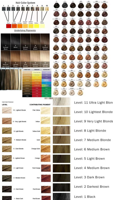 Samples of hair color levels and underlying pigments klaudia finch Braids Without Curls, Women Square Face, Curls Short Hairstyles, Hair Bun Quotes, Hair Color Levels, Crochet Braids For Black Women, Hairstyles Graduation, Beauty School Cosmetology, Types Of Hair Color