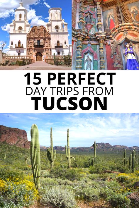 15 Perfect day trips from Tucson, including Mission San Xavier del Bac and Tonto National Forest. Catalina State Park Tucson, Tuscon Arizona Hikes, Southern Arizona Travel, Tuscon Arizona Outfits, Tucson Arizona Things To Do, Tucson Arizona Aesthetic, Tuscon Az, Arizona Day Trips, Tuscon Arizona