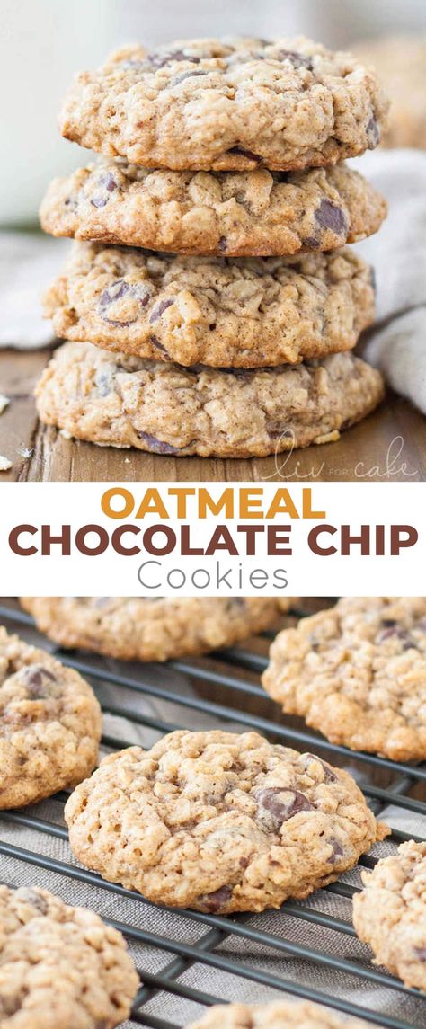 The only oatmeal cookie recipe you will ever need! Soft and chewy oatmeal chocolate chip cookies loaded with oats and chocolate chips! | livforcake.com Nestle Toll House Oatmeal Chocolate Chip Cookies, Quick Oats Chocolate Chip Cookies, Chocolate Cup Oatmeal Cookies, Pioneer Woman Oatmeal Cookies, Oat Cookies Chocolate Chip, Stevia Oatmeal Cookies, Regular Oatmeal Recipes, Quick Oatmeal Chocolate Chip Cookies, Oatmeal Chocolate Chip Cookie Recipe No Eggs