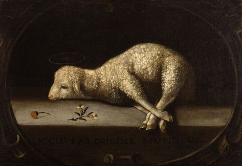 Art History, Sacrificial Lamb, Passover Lamb, Female Painters, Agnus Dei, John Macarthur, Painting Still Life, Female Artists, Dark Aesthetic