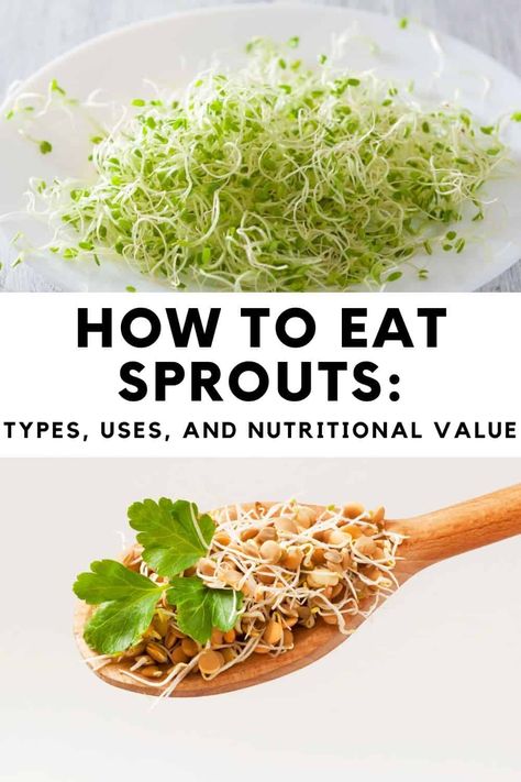 Salad Sprouts Recipe, Sprouts Nutritional Value, How To Eat Broccoli Sprouts, Recipes For Sprouts, Broccoli Sprout Recipes, Broccoli Sprouts Recipes Dishes, Brocolli Sprouts Recipes, How To Use Sprouts, Alfalfa Sprouts Salad