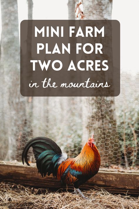 mini farm plan for two acres What To Do With 2 Acres Of Land, 2 Acres Farm Layout, Homestead Layout 2 Acres, Farm Animal Layout, Small Farm Living, Mini Farm Layout Ideas, Homestead On 2 Acres, 6 Acre Homestead Layout, Building A Farm