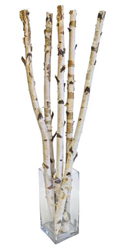 Birch Sticks, 36" Tall Tall Vase With White Sticks, Multi Stem Birch, Tall Vase With Twigs, Birch Branch Vase, Birch Wood Vase, Birch Centerpieces, Birch Tree Decor, Birch Bark Crafts, Outdoor Vases