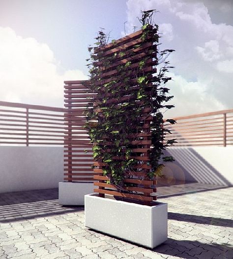 Love your Privacy. Mobile vine privacy wall                                                                                                                                                     More نباتات منزلية, Backyard Privacy, Garden Vines, Garden Screening, Vine Wall, Walled Garden, Garden Types, Potting Bench, Have Inspiration