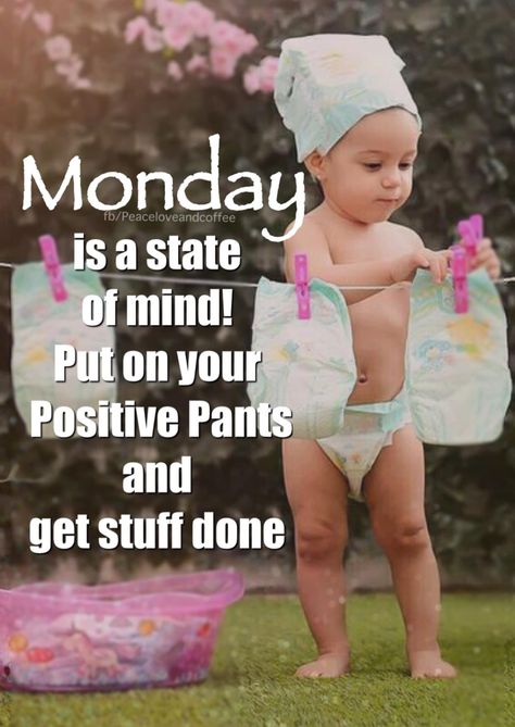 Crazy Monday Humor, Daily Humor Quotes, Monday Is Over Funny, Positive Weekend Quotes, Monday Humor Hilarious Laughing, Monday Motivation Humor Funny, Good Morning Monday Funny, Happy Monday Quotes Funny, Monday Motivation Humor