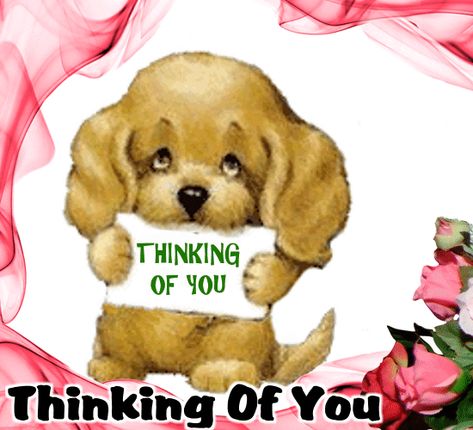 Thinking Of You Gif, Just Checking In On You, Just Checking In On You Images, Thinking Of You Images, Kisses Quotes, Thinking Of Him, Bestie Quotes, Funny Dog Signs, Morning Hugs