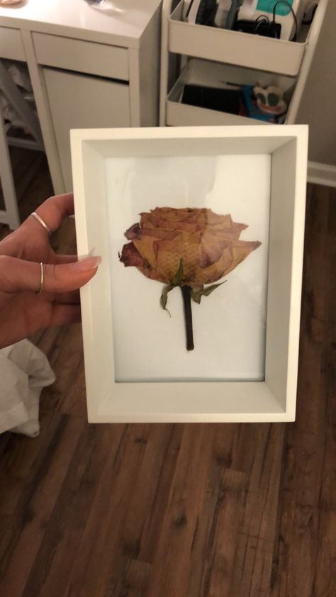 Pressed Rose Art, Pressed Roses Diy, Press Roses Diy, Rose Frame Diy, How To Press Roses In A Frame, Saving Flowers From Boyfriend, Dry Roses Ideas, Dried Roses Ideas Diy, Pressing Roses