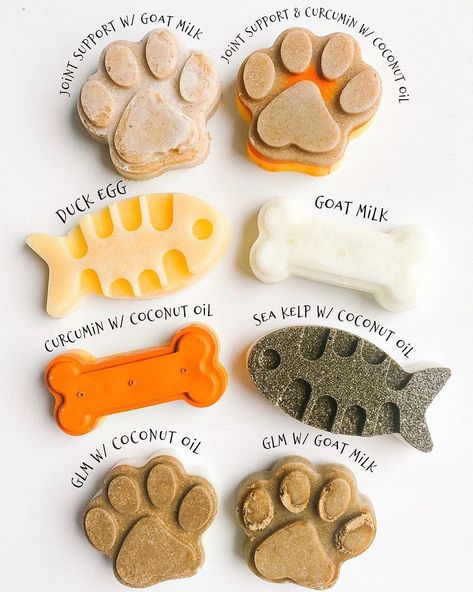 7 Surprising Dog Supplements for Healthier Pups - Max and Co Pets Pet Treats Recipes, Easy Dog Treat Recipes, Easy Dog Treats, Healthy Dog Treats Homemade, Dog Treats Homemade Recipes, Dog Bakery, Puppy Treats, Raw Dog Food Recipes, Dog Nutrition