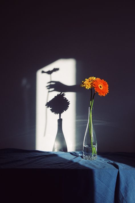 Light And Shadow Photography, Tableaux Vivants, Object Photography, Shadow Photography, Photographie Portrait Inspiration, Shadow Photos, Still Life Photos, Shadow Art, Conceptual Photography