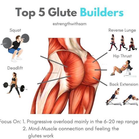 Workout Ideas on Instagram: “🍑Top 5 Glute-Building Exercises🍑 by @strengthwithsam  __ 👉Tag someone who is wanting to grow their glutes! __ 💥My top five exercises for…” Glute Building, Glute Workout Women, Gym Antrenmanları, Workout Women, Glute Workout, Home Exercise Routines, Biceps Workout, Effective Workouts, Gym Workout Tips