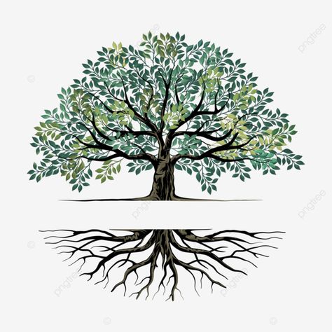 Oak Tree Drawings Simple, Rooted Tree Drawing, Oak Tree With Roots Tattoo, Oak Tree Vector Illustration, Family Tree Logo Ideas, Oak Trees Drawing, Tree And Roots Drawing, Tree And Roots Illustration, Drawing Of Tree Branches