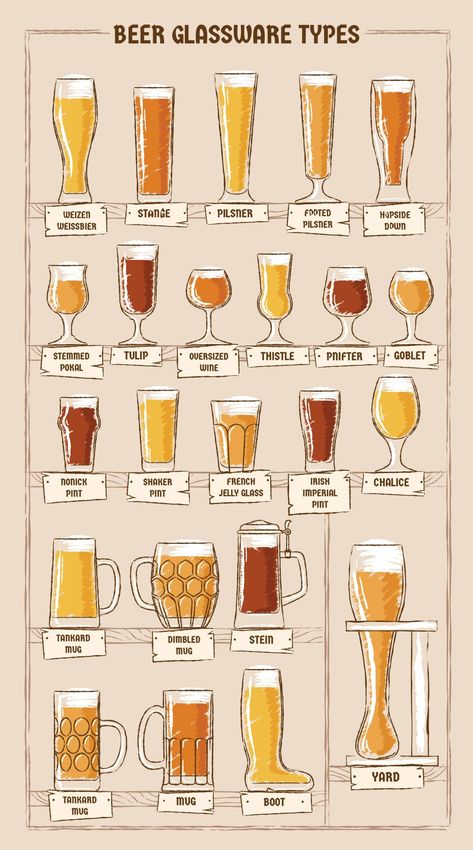 If you’re like me and enjoy a cold beer, then you probably also enjoy trying new beers. If this is true, then you’ve probably used more than one glass to drink your favorite brews. There are many different ways to enjoy a beer, and each glass type has its own unique properties. From the shape […] The post 23 Beer Glass Types – Everything You Need To Know. first appeared on Daily Infographic. Beer Infographic, Beer Types, Glass Types, Beer Guide, Types Of Beer, Beer Pairing, Beer Glassware, Home Brewing Beer, Beer Tasting