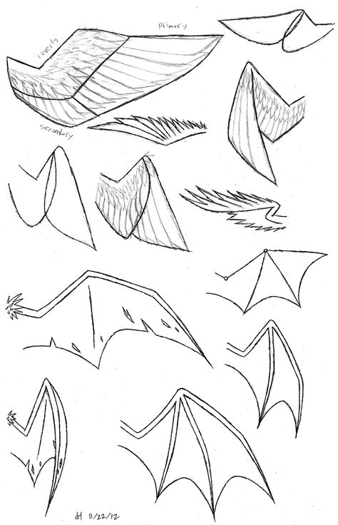 how to draw folded dragon wings | Wing Study by VibrantEchoes Anime Wings, Drawing Wings, Drawing Dragons, Dragon Ears, Wolf Ears And Tail, Draw Wings, Wolf Illustration, Wolf Ears, Wings Drawing