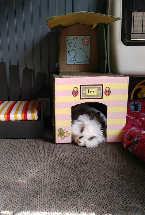 Bunny Hideout Diy Cardboard, Cardboard Bunny House, Bunny Hideout, Cardboard Bunny, Carton House, Pet Bunny Rabbits, Bunny Stuff, Bunny House, Pet Bunny