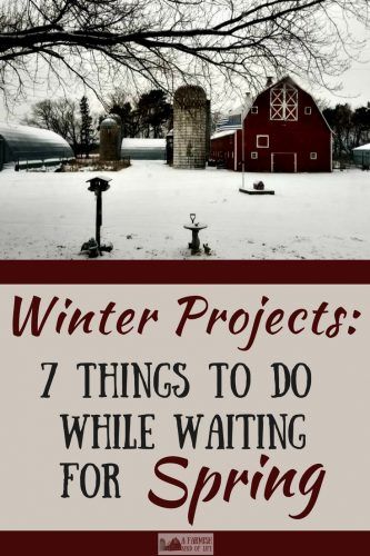 Amish Lifestyle, Waiting For Spring, Homesteading Diy, Winter Projects, Homestead Farm, Homesteading Skills, Homestead Living, Winter Project, Urban Homesteading