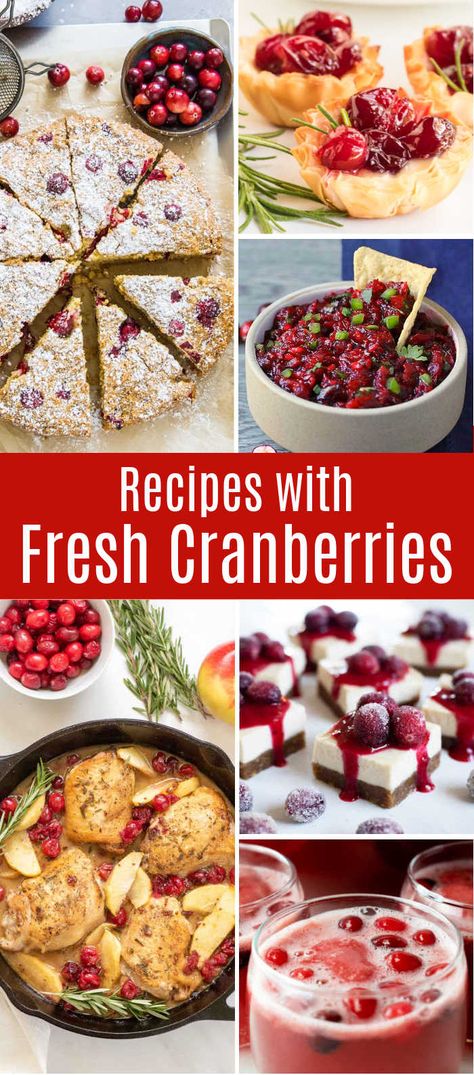 Cranberry Recipes Healthy, Appetizer Desserts, Fresh Cranberry Salad, Cranberry Recipes Thanksgiving, Cranberry Appetizer, Fresh Cranberry Recipes, Recipes For The Holidays, Cranberry Thanksgiving, Christmas Cranberry