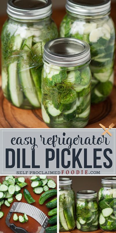 Kosher Dill Pickles Homemade Easy, Homemade Dill Pickles No Canning, Homemade Claussen Dill Pickles, Homemade Refrigerator Pickles Dill, Diy Dill Pickles, Easy Refrigerator Dill Pickles Recipe, Diy Dill Pickles Recipes, Diy Pickles Easy, Fridge Pickle Recipe